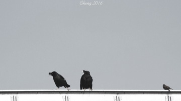IMG_20160512_092012