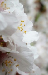 20160502_161916_1_1