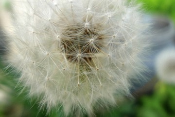 C1454162-73F7-48EF-AE3B-4CF51DA3BCE7/L0/001
