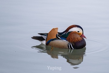 46785