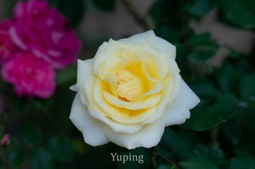54473
