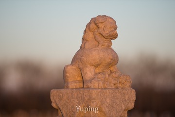 1137361
