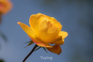 54199