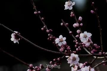 001