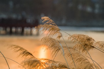 606583