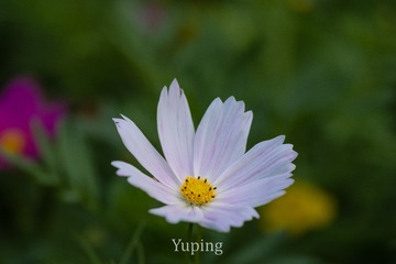 1210053