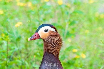 1179067