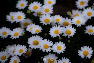 1179796