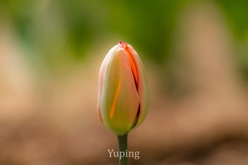 1172168