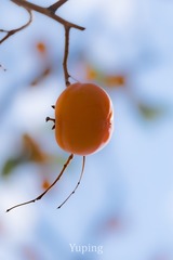 1210948