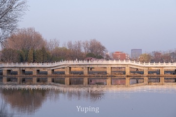 45004