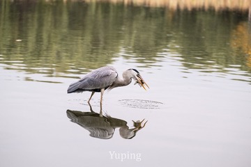 26440