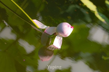 17604