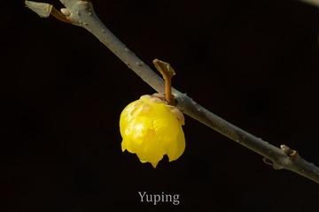 48938