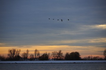 ?IMG_6393??????-1
