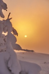 ?IMG_6442??????-1