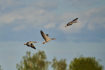 ?IMG_6398??????-1