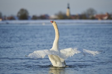 ?IMG_6426??????-1
