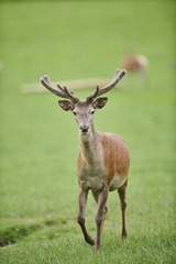 ?IMG_6427??????-1