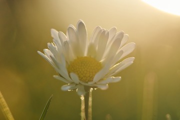 ?IMG_6395??????-1