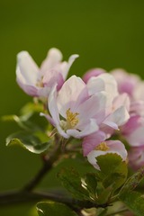 ?IMG_6392??????-1