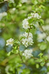 ?IMG_6434??????-1