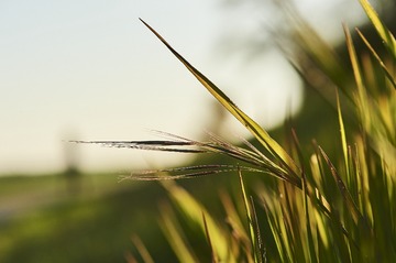 ?IMG_6419??????-1