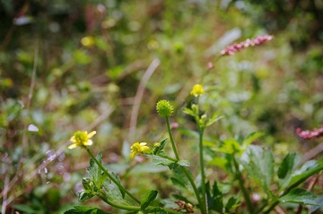 IMG_20160802_122530
