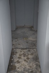 PT174506-3