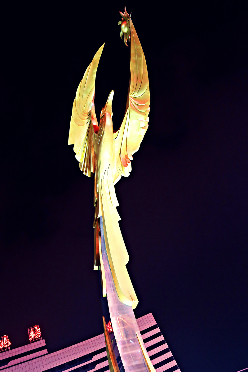 太阳鸟雕塑组图5幅