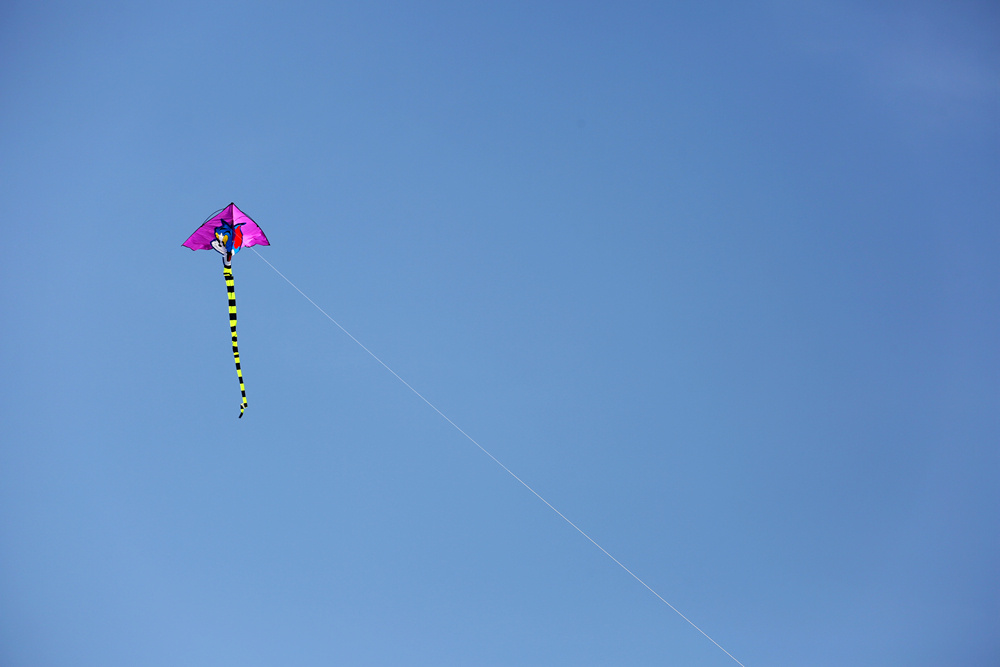 春天的空中飘着的风筝.