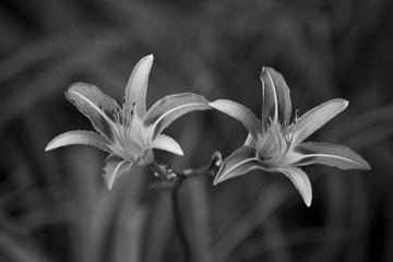 _DSC7160