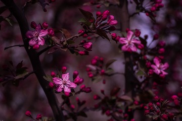 DSC_7667-1