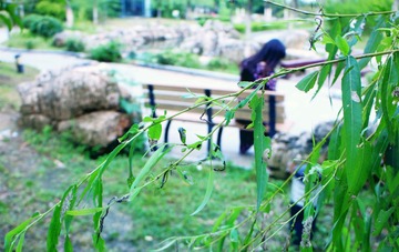 IMG_20160613_224644