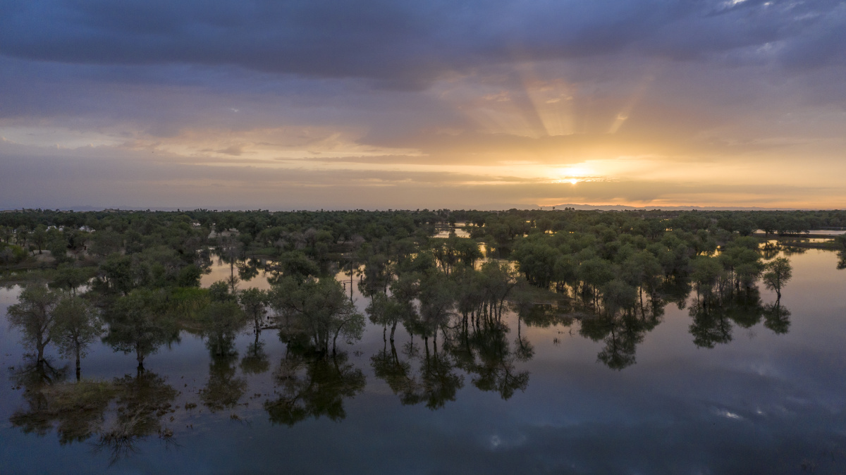 新疆尉犁罗布淖尔国家湿地公园