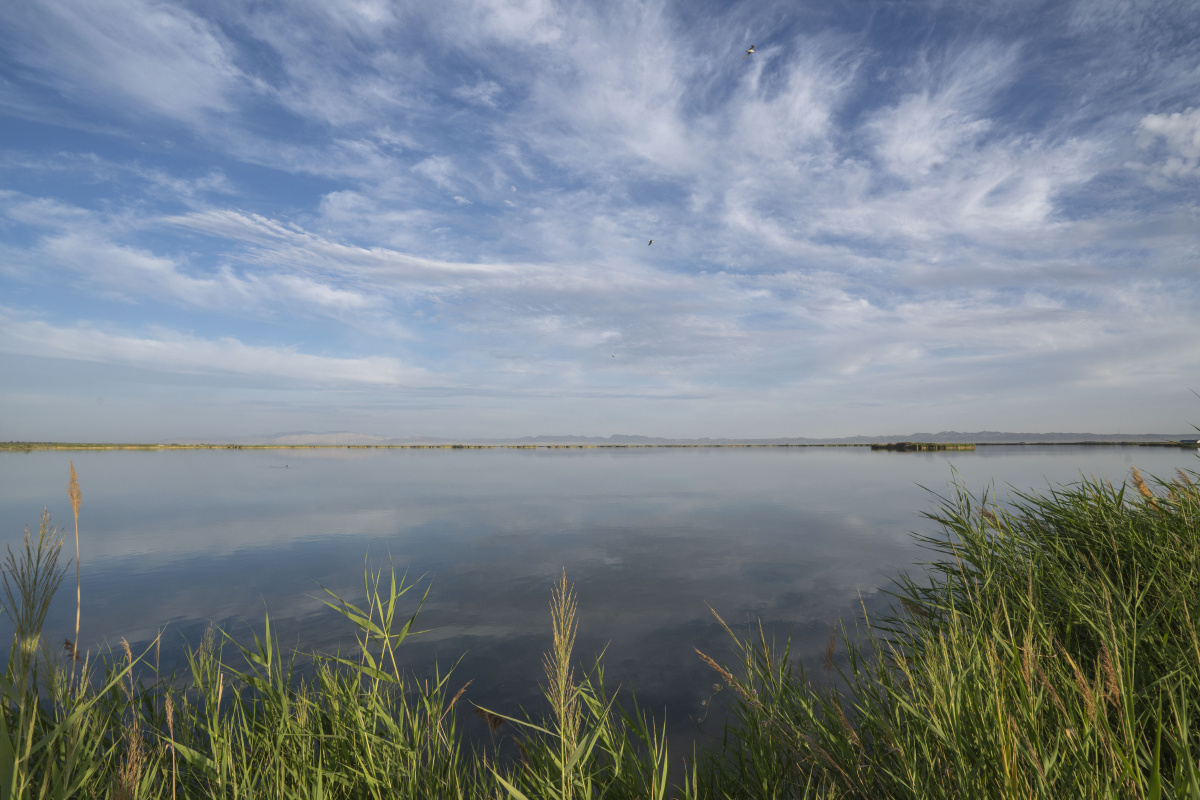 新疆焉耆相思湖风光