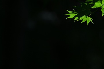 6107930