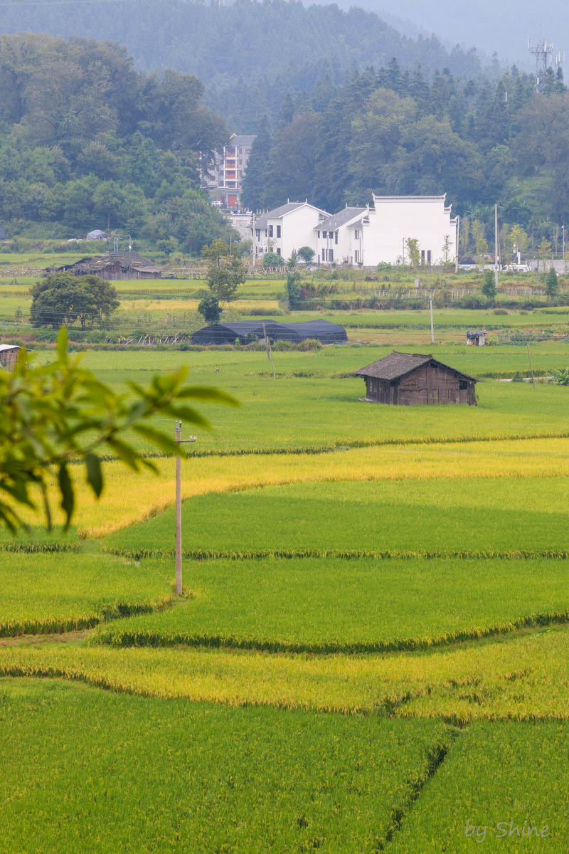 黔东南-田园