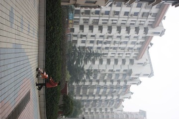 街景5