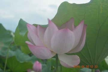 001
