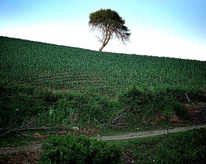 IMG_20160620_084421