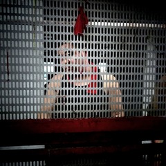 IMG_20160807_195445