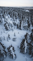 IMG_20160814_123752