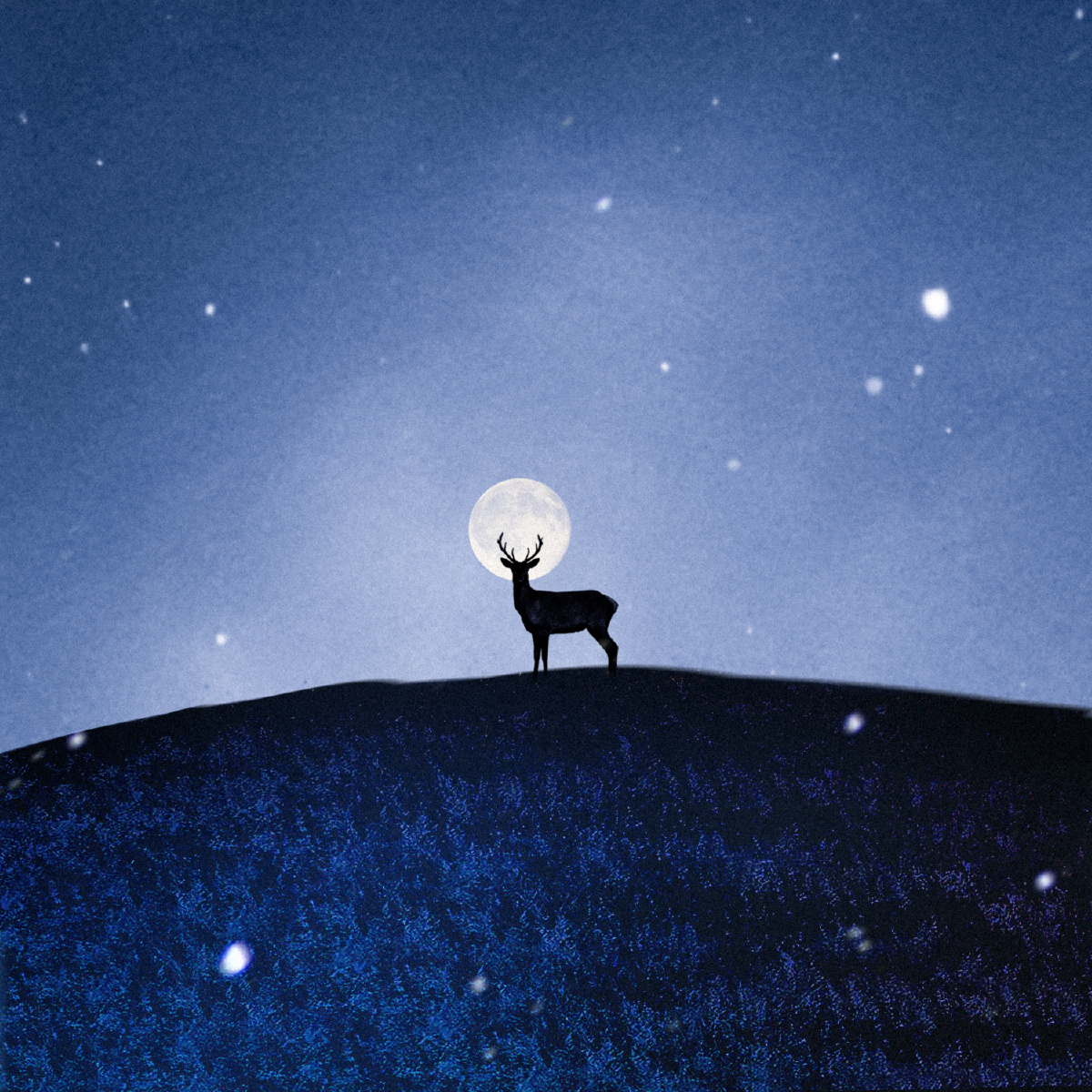 你与皓月星辰一样盈盈皆微光67676767