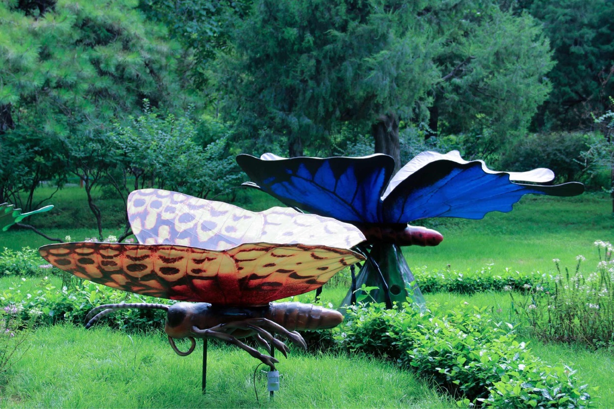 景山公园昆虫展