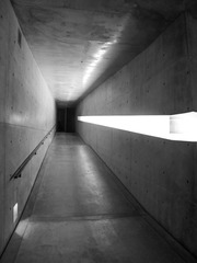 0147-CIMG2256-bj