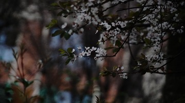 1802814