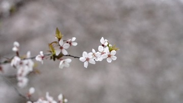 1802746