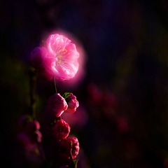 001