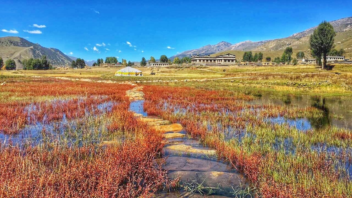 稻城 亚丁 - 稻城, 四川, 牛奶海, 红草地, 风光, 五